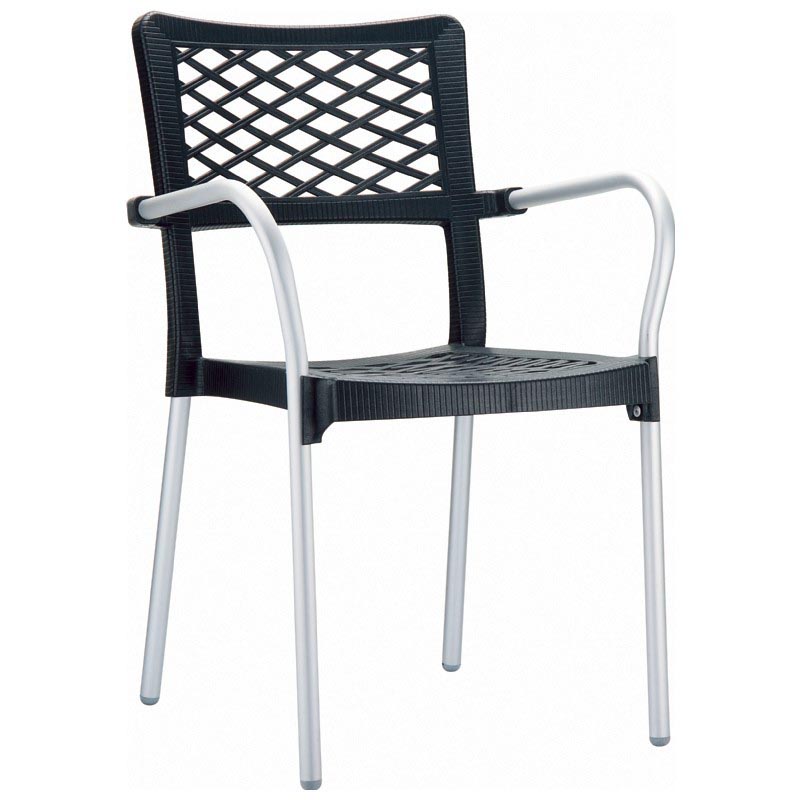 Bella Resin Dining Arm Chair  (Set of 4)