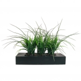 Vintage Home Artificial Grass in Contemporary Small Wood Planter