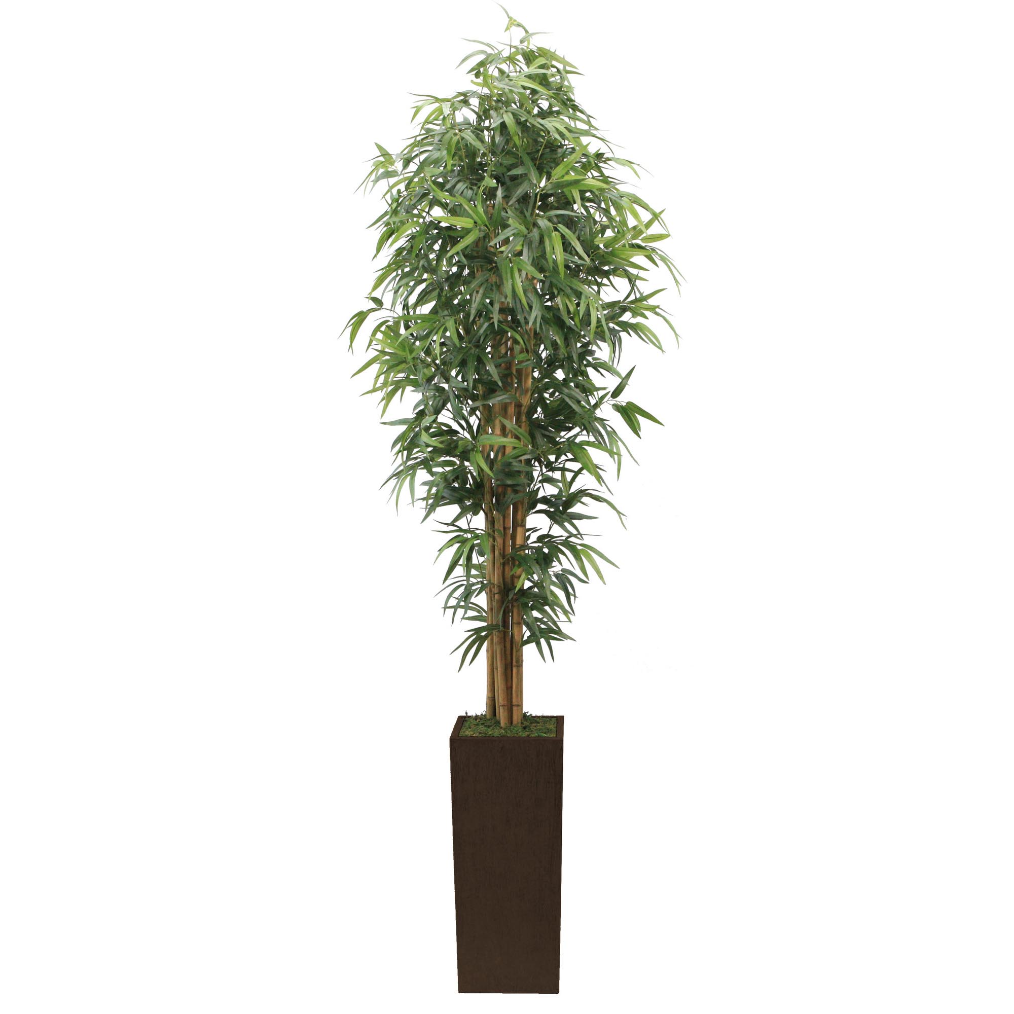 Laura Ashley 7 foot Silk Bamboo Tree in Brown & Bronze Wood Planter