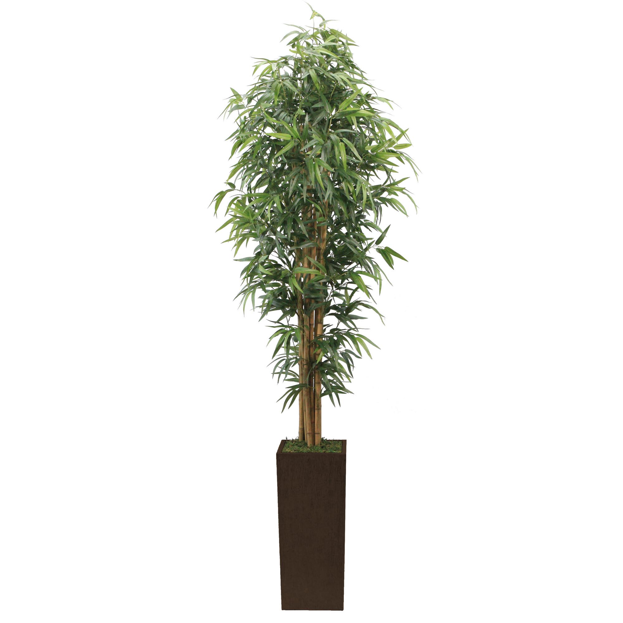 Laura Ashley 7 Foot Silk Bamboo Tree In Brown & Bronze Wood Planter