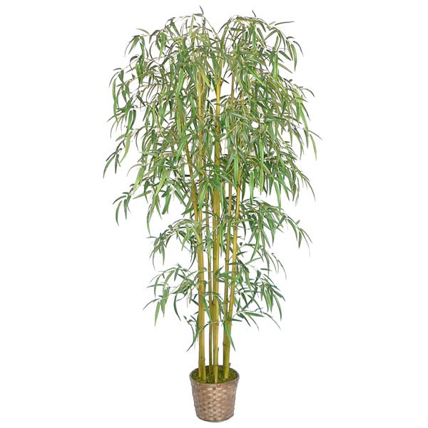 Laura Ashley 6 foot Silk Bamboo Tree in Wicker Basket Planter