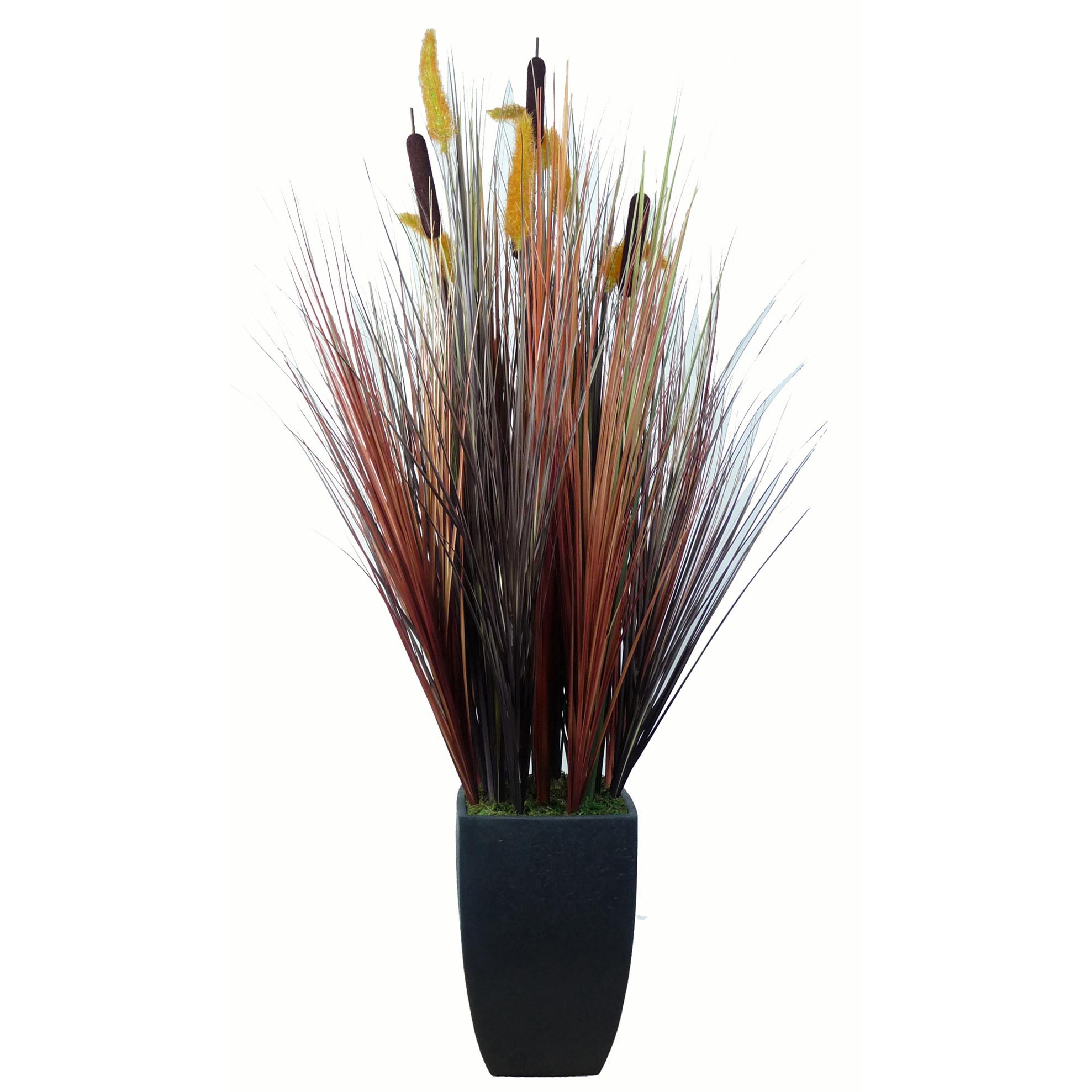 Laura Ashley 4 foot Onion Grass in Decorative Planter