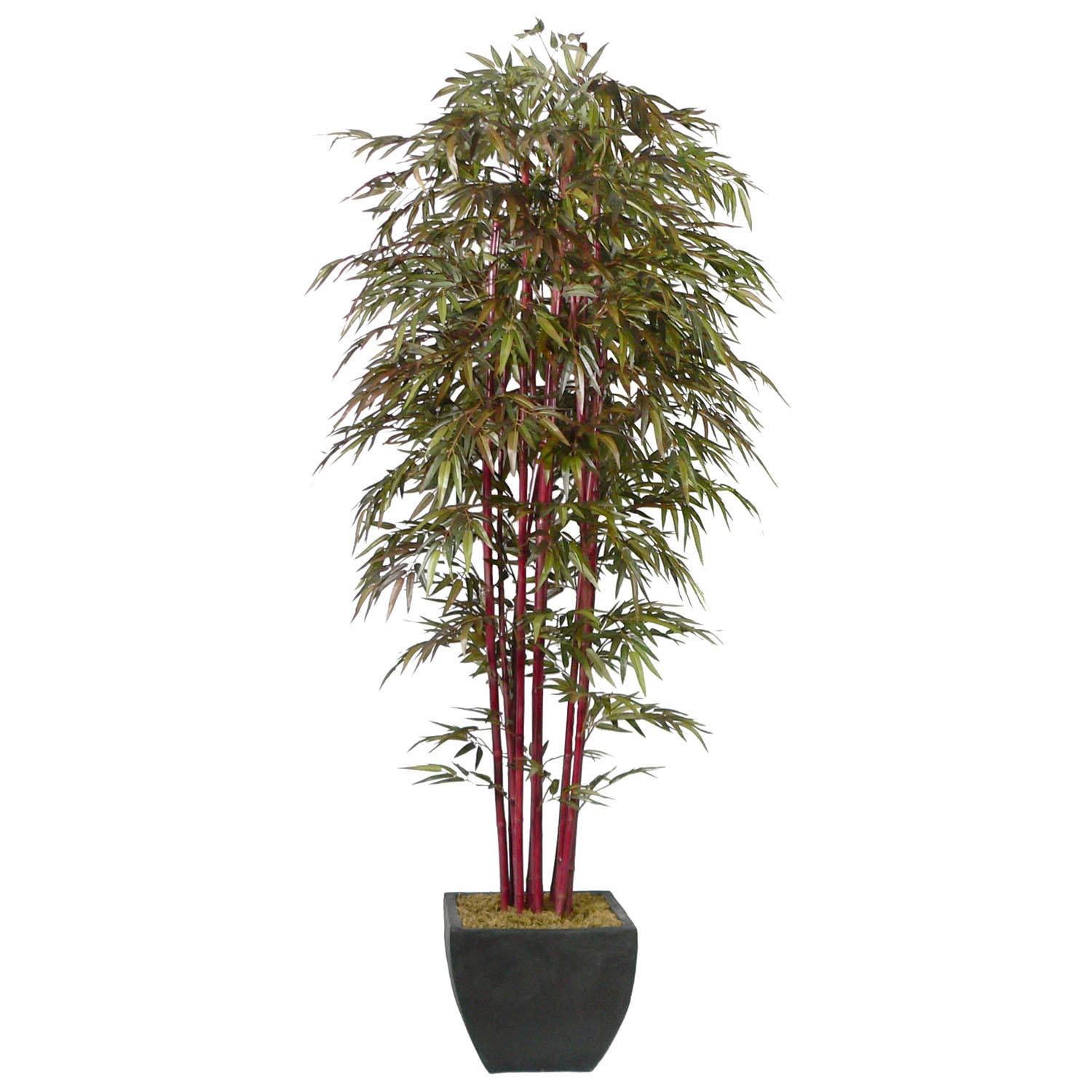 Laura Ashley 8 Foot Artificial Bamboo Tree In Decorative Planter