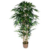 Laura Ashley 6 foot Silk Bamboo Tree in Wicker Basket Planter