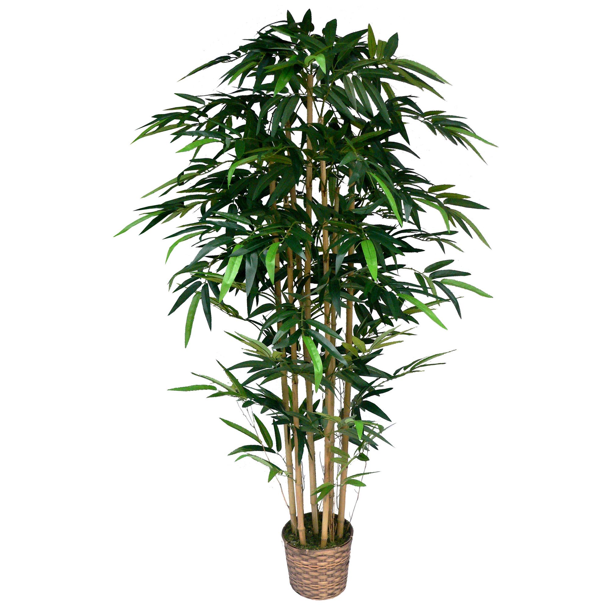 Laura Ashley 6 Foot Silk Bamboo Tree In Wicker Basket Planter