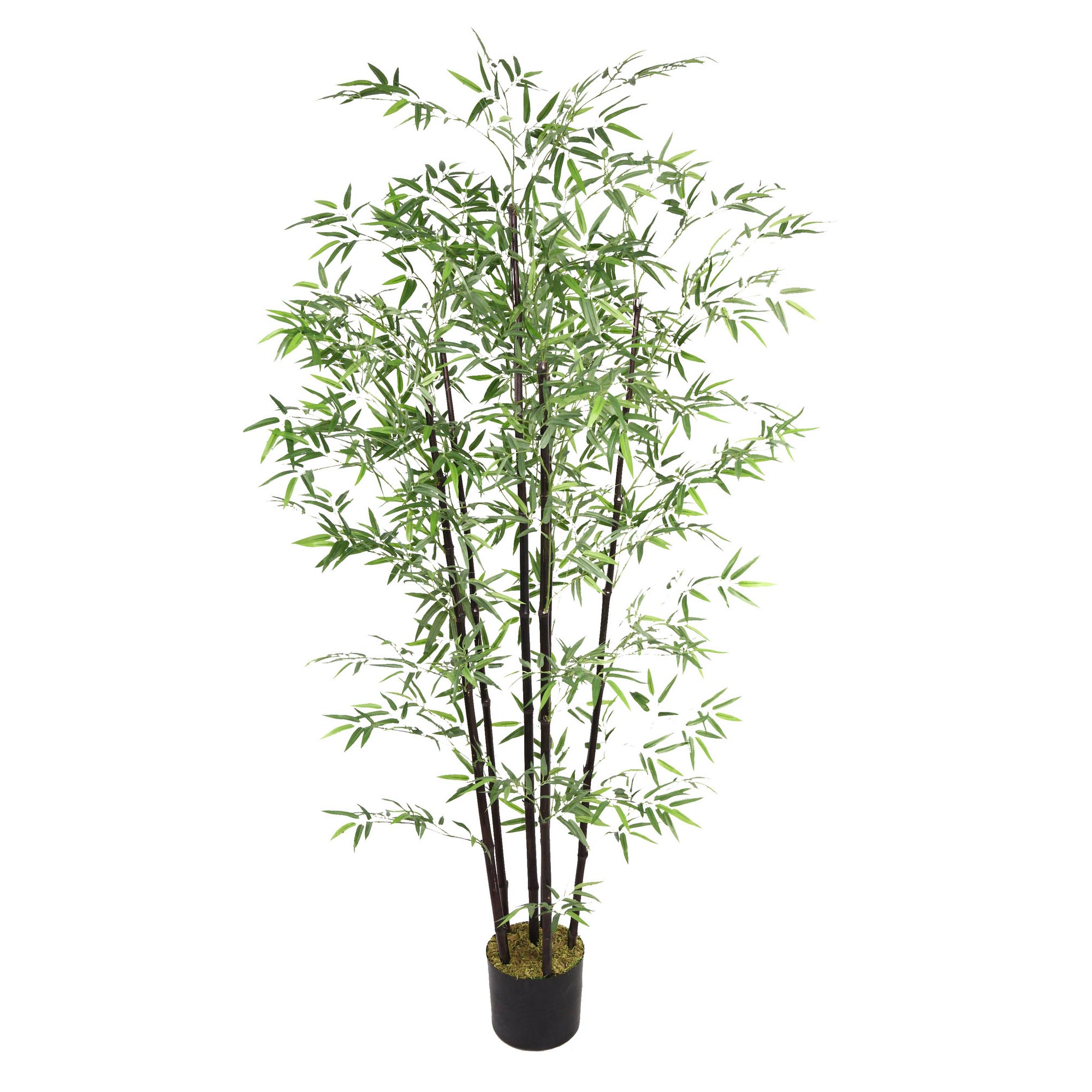 Artificial Black Bamboo Tree