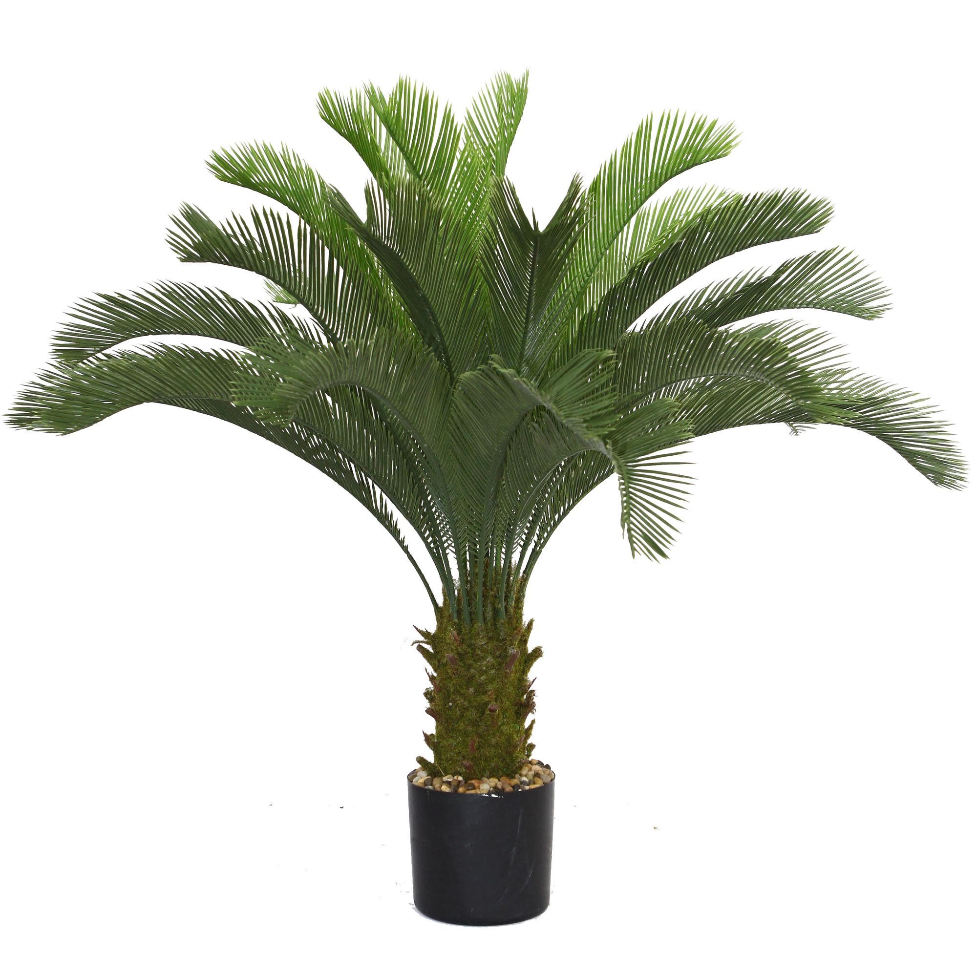 Artificial Cycas Palm Tree