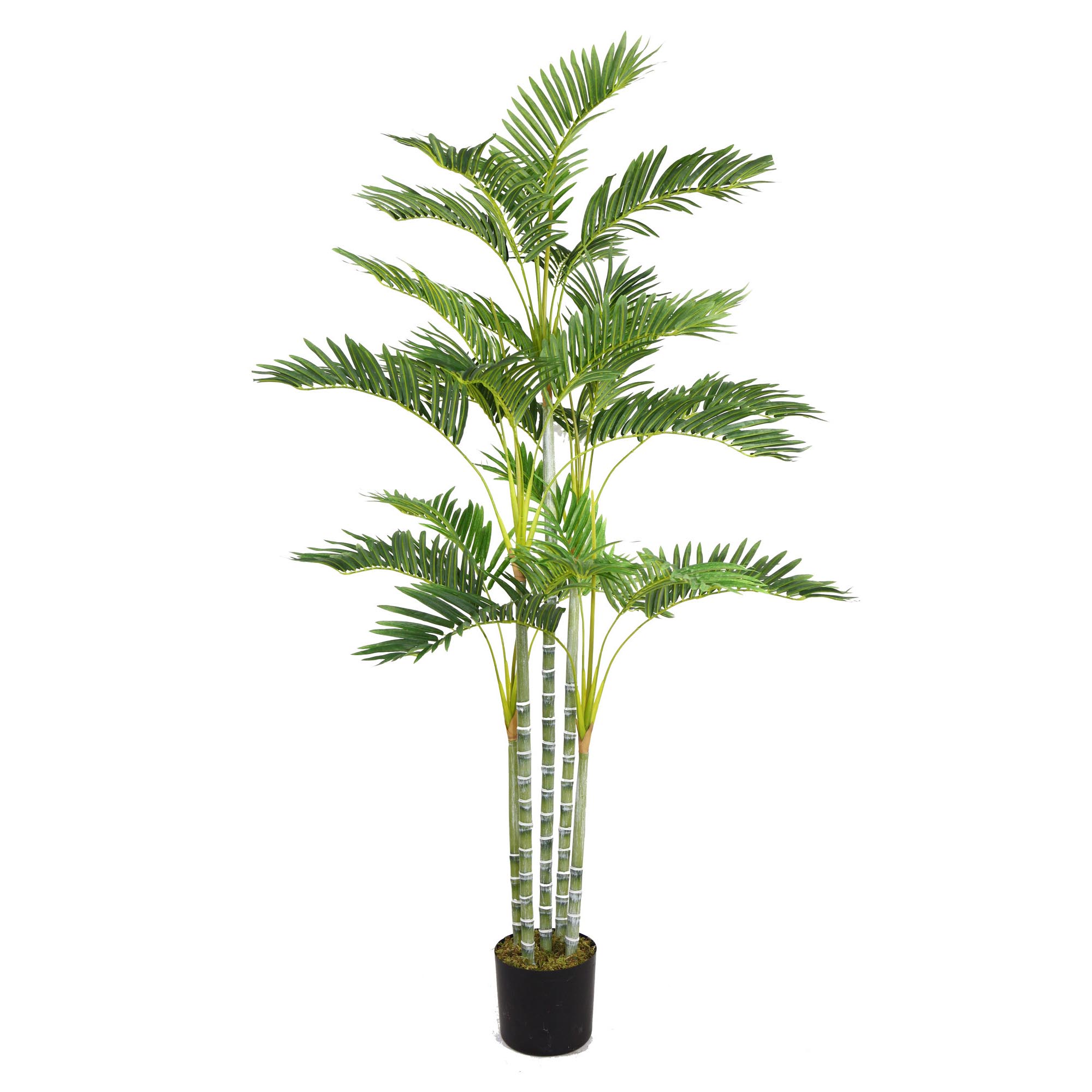 Artificial Kentia Palm Tree