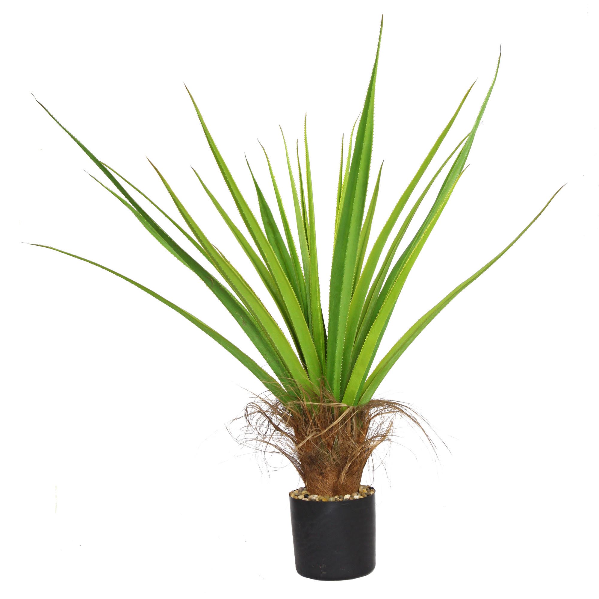 44 inch Agave Plant with Cocoa Skin