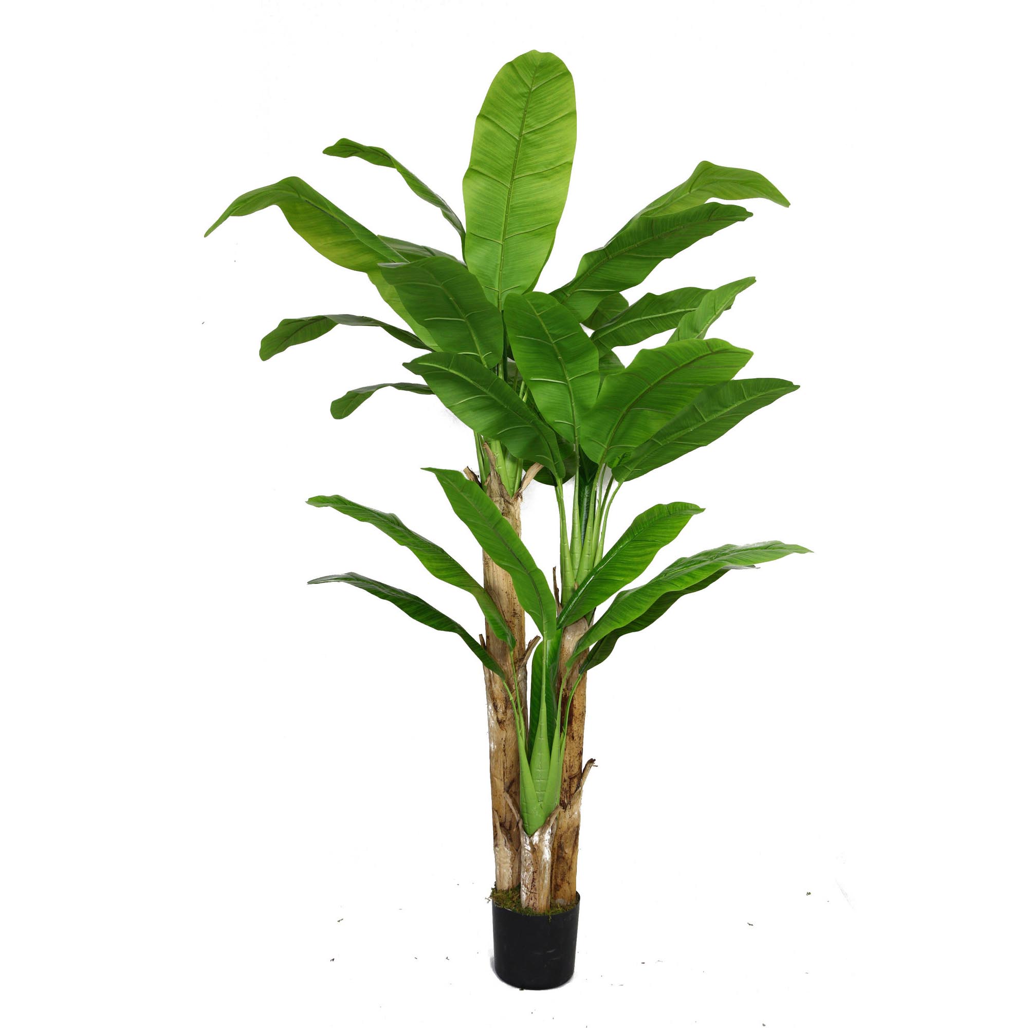 Laura Ashley Artificial Banana Tree With Real Touch Leaves Vhx117