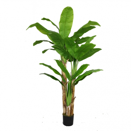 glass water bulbs for plants Self-Watering Glass Plant Globes – We The Wild Plant Care USA