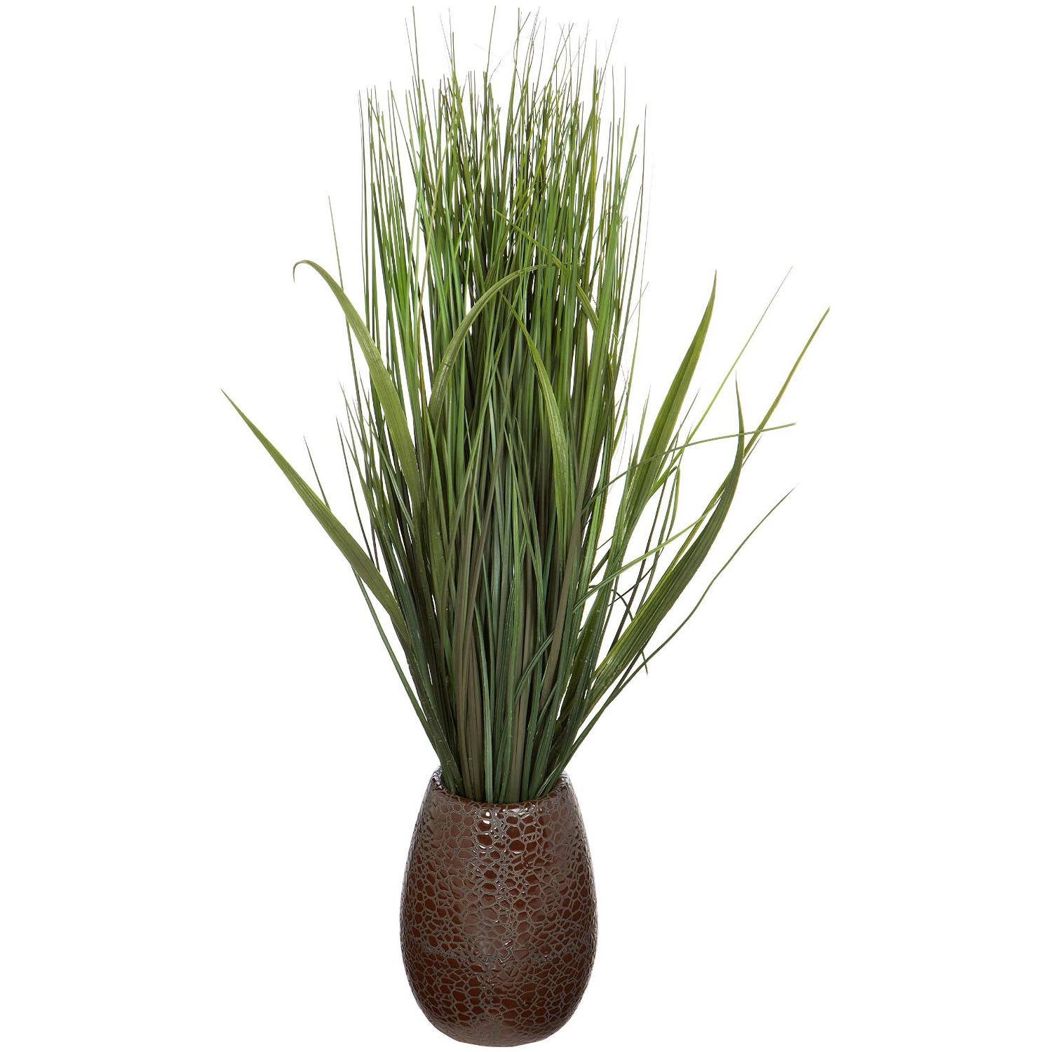 Laura Ashley 28 inch Plastic Onion Grass in Ceramic Pot