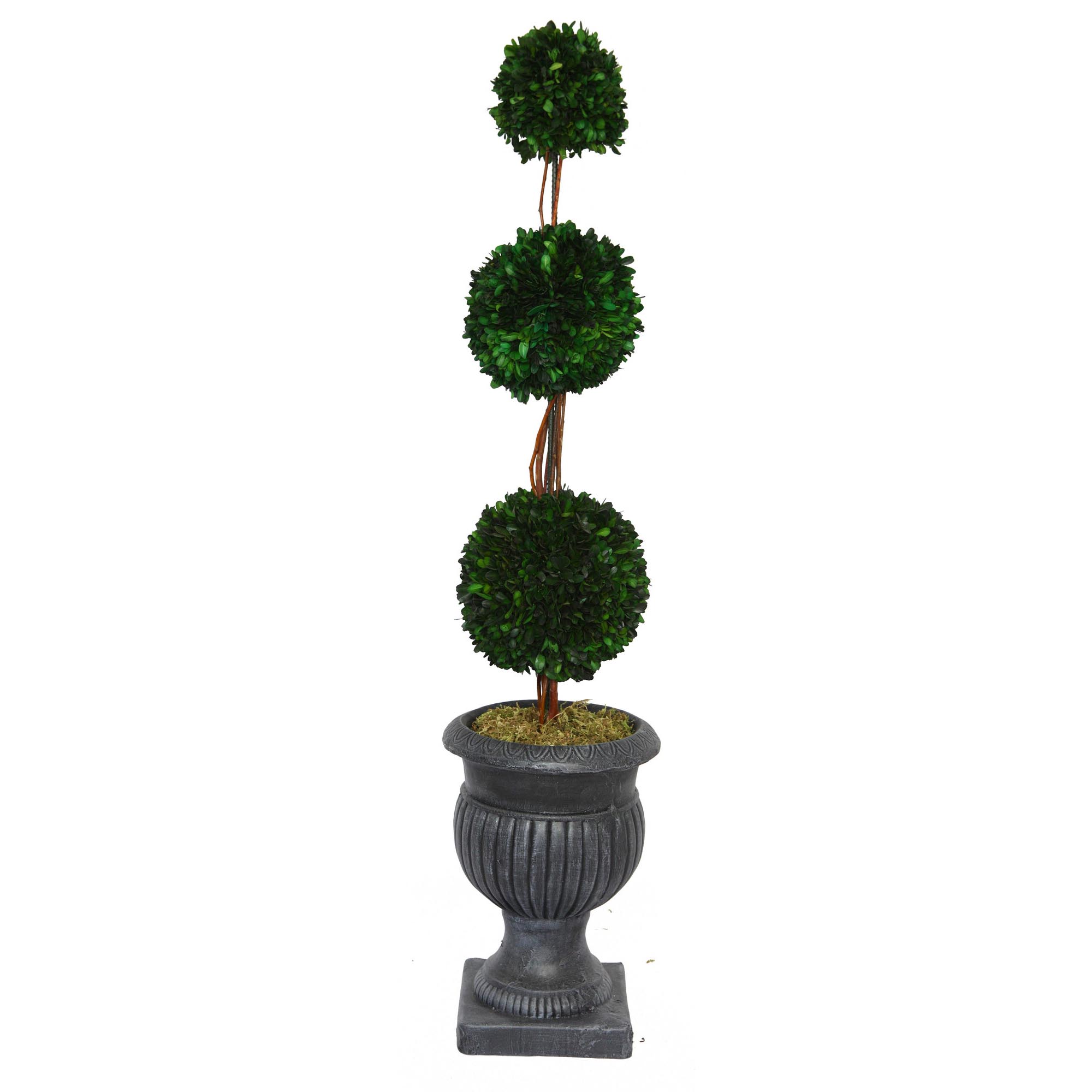 Vintage Home inch Preserved Triple Ball Boxwood Urn