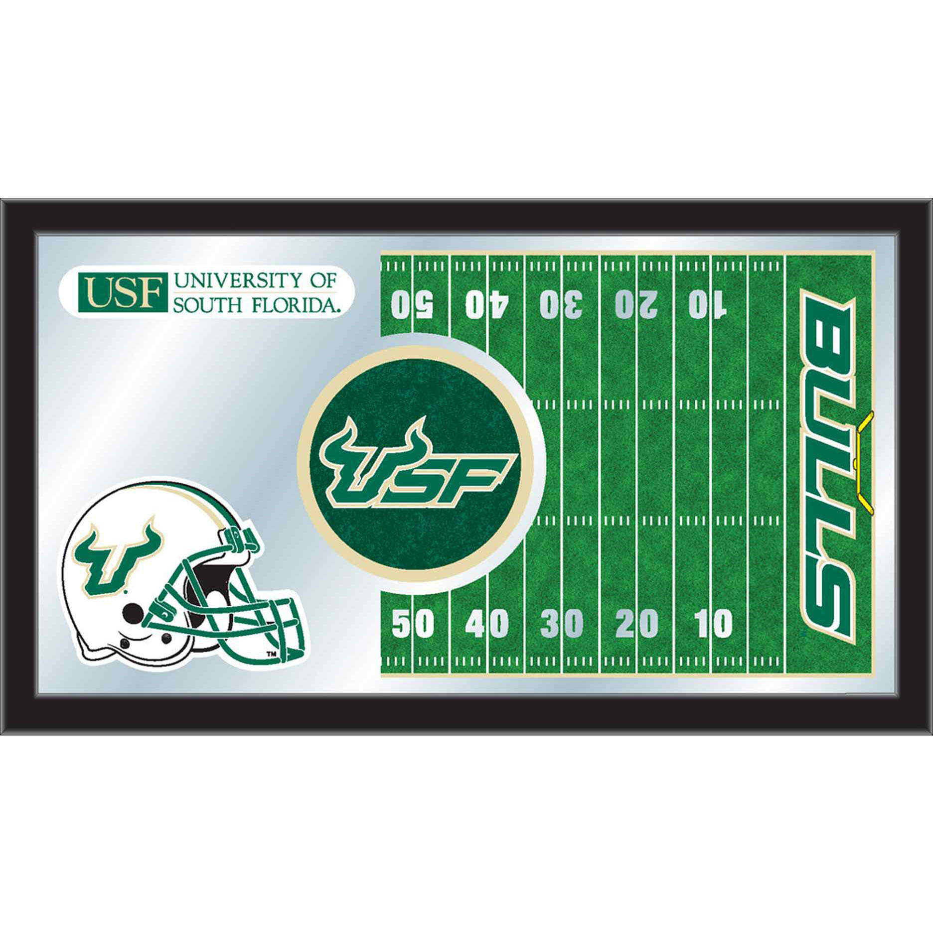 University of South Florida Football Mirror