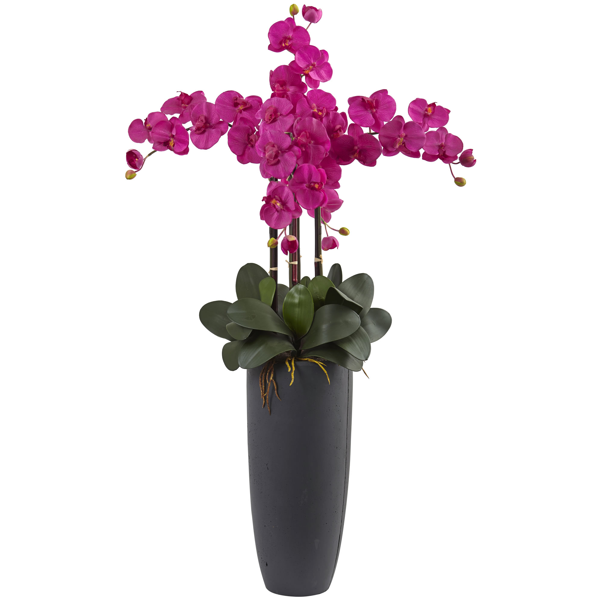 41 Inch Phalaenopsis Orchid Arrangement In Bullet Planter