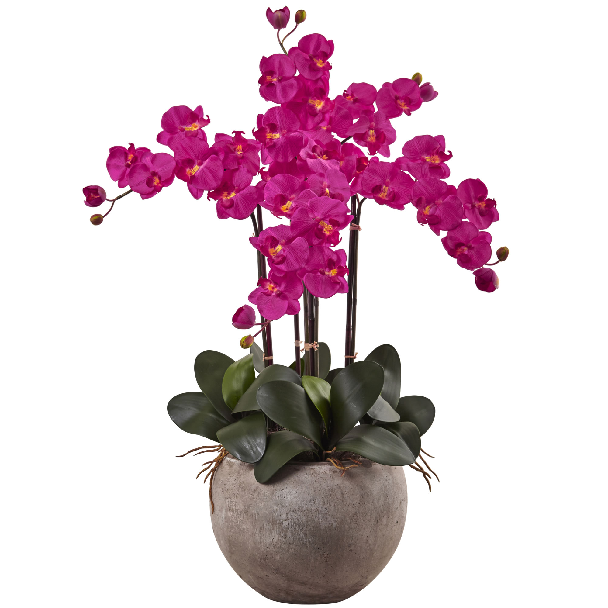 36 Inch Phalaenopsis Orchid Arrangement In Sand Colored Bowl