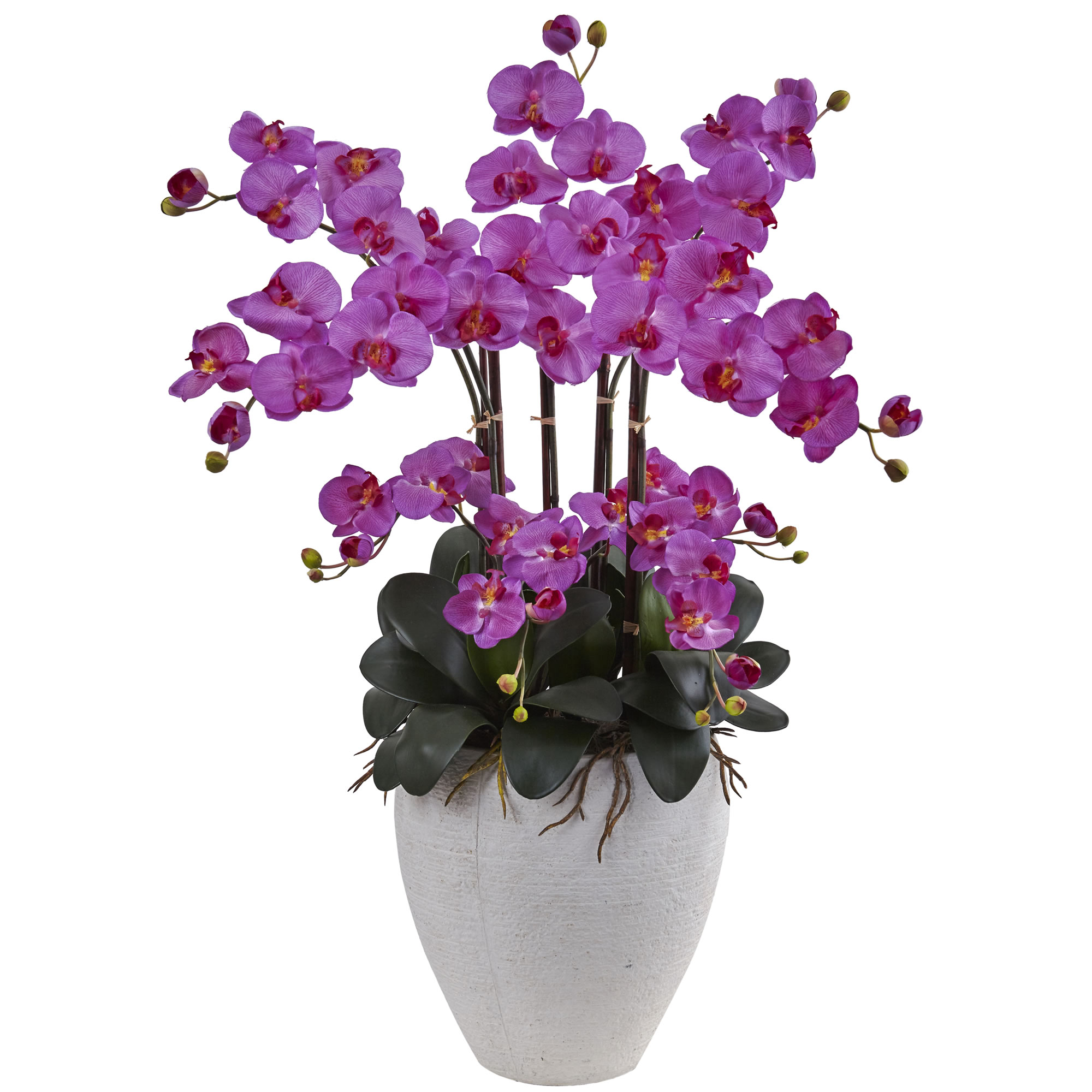 34 inchPhalaenopsis Orchid with White Planter