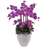 34 inchPhalaenopsis Orchid with White Planter