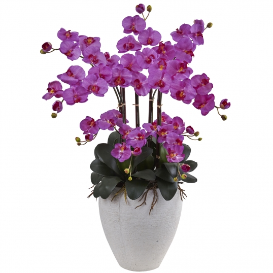 34 inchPhalaenopsis Orchid with White Planter