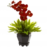 20 inch Birds Nest & Orchid Combo with Planter