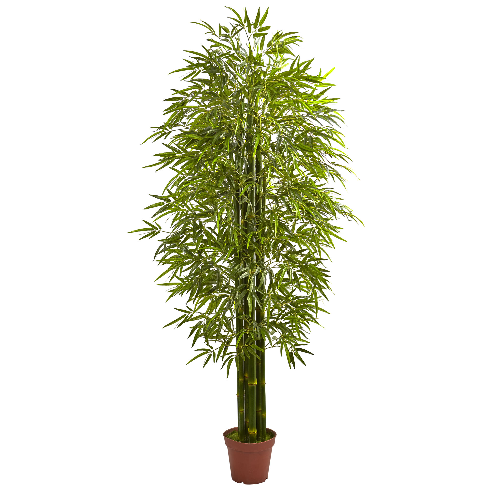 7 Foot Outdoor Bamboo Tree: Limited Uv Protection
