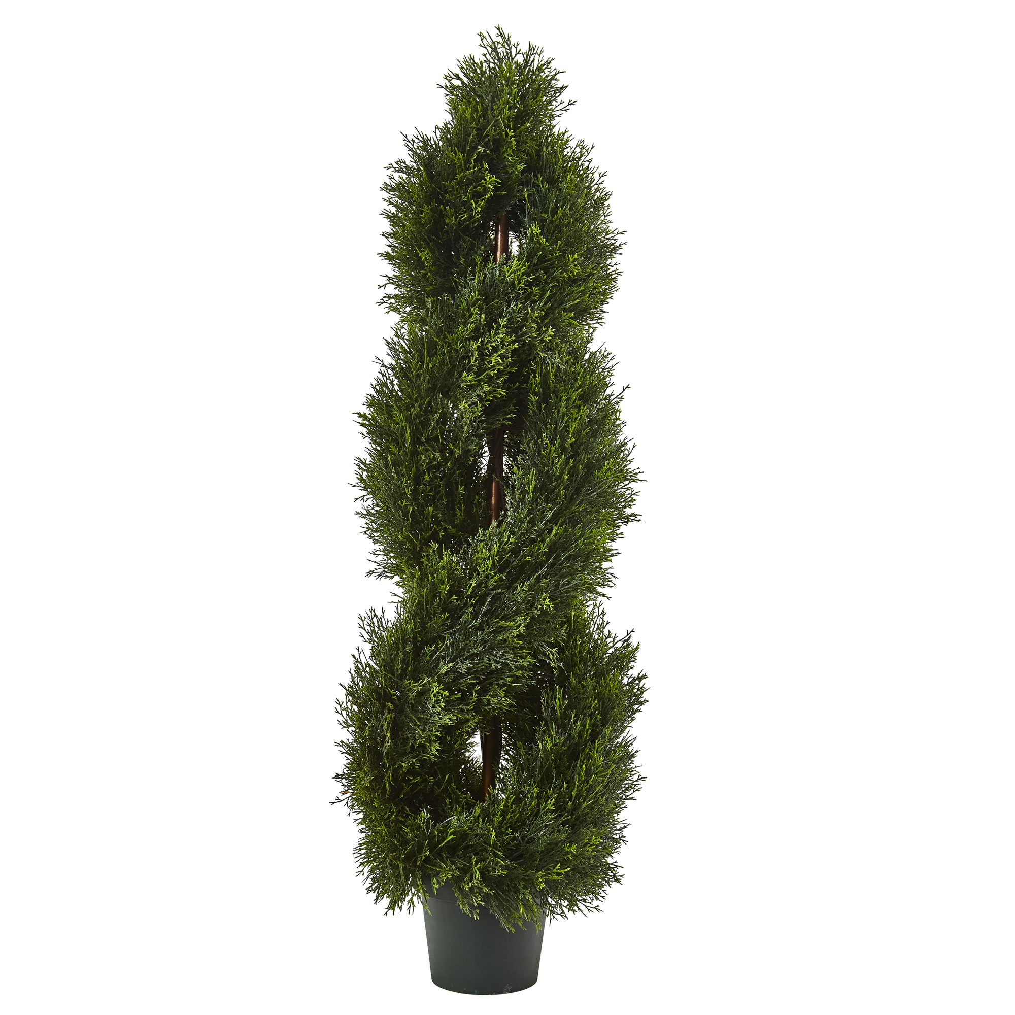 4 Foot Double Pond Cypress Spiral Topiary: Uv Protected