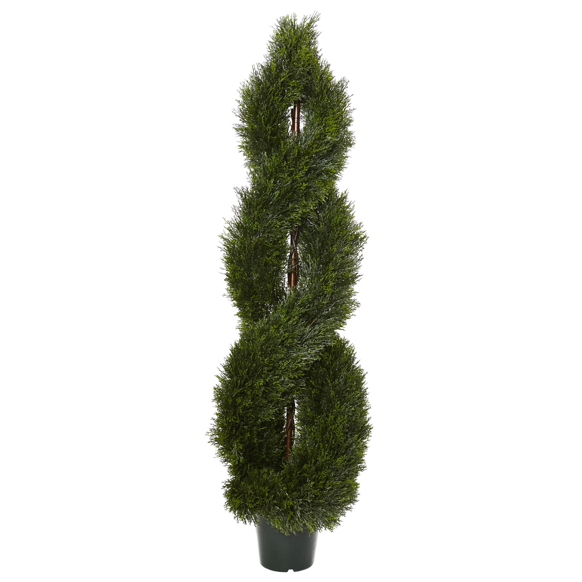 5 foot Pond Cypress Spiral Topiary: UV Protected