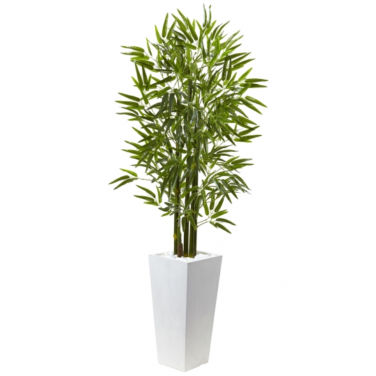 5 foot Bamboo Tree in White Planter: Limited UV Protection