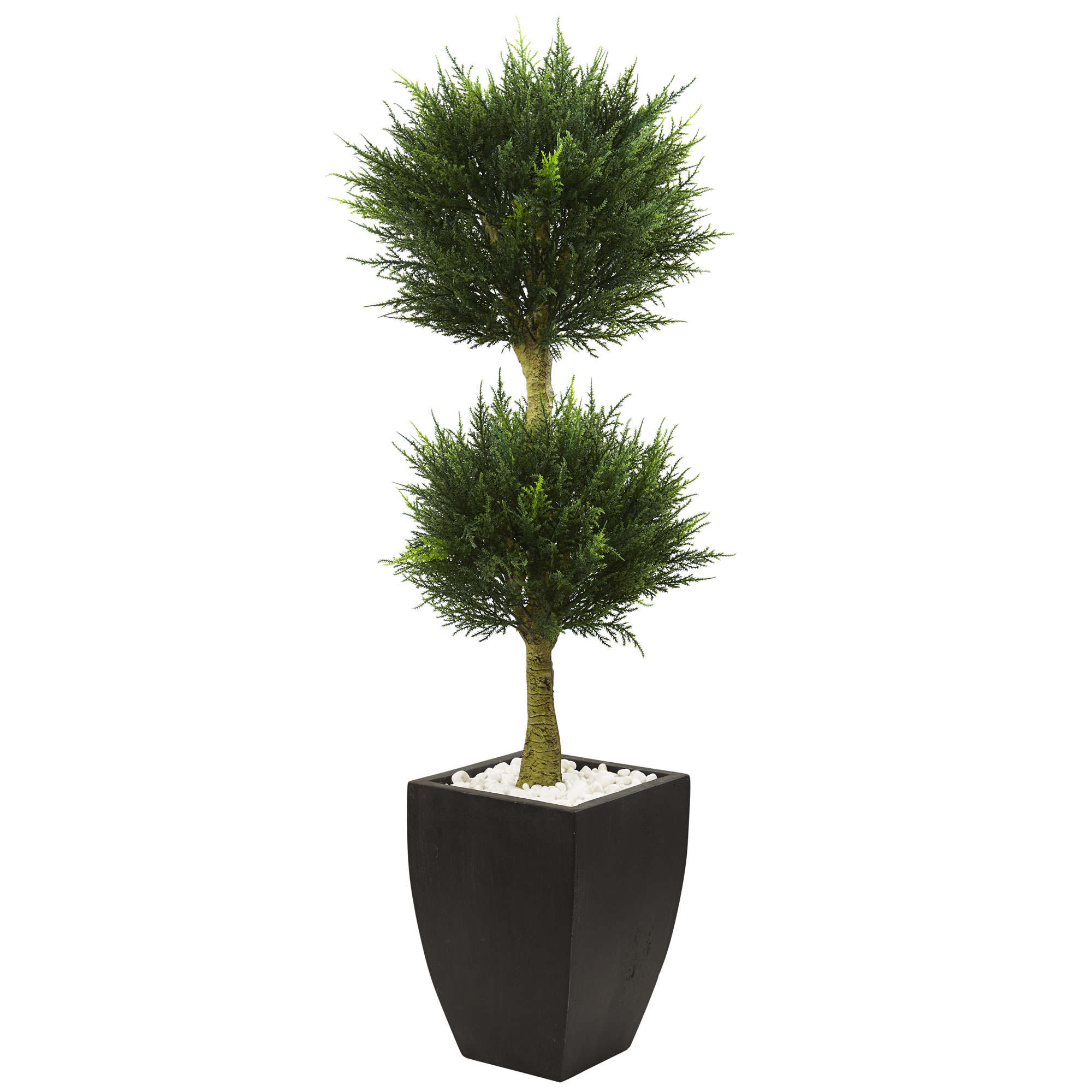 4.5 Foot Cypress Topiary In Black Planter: Uv Protected