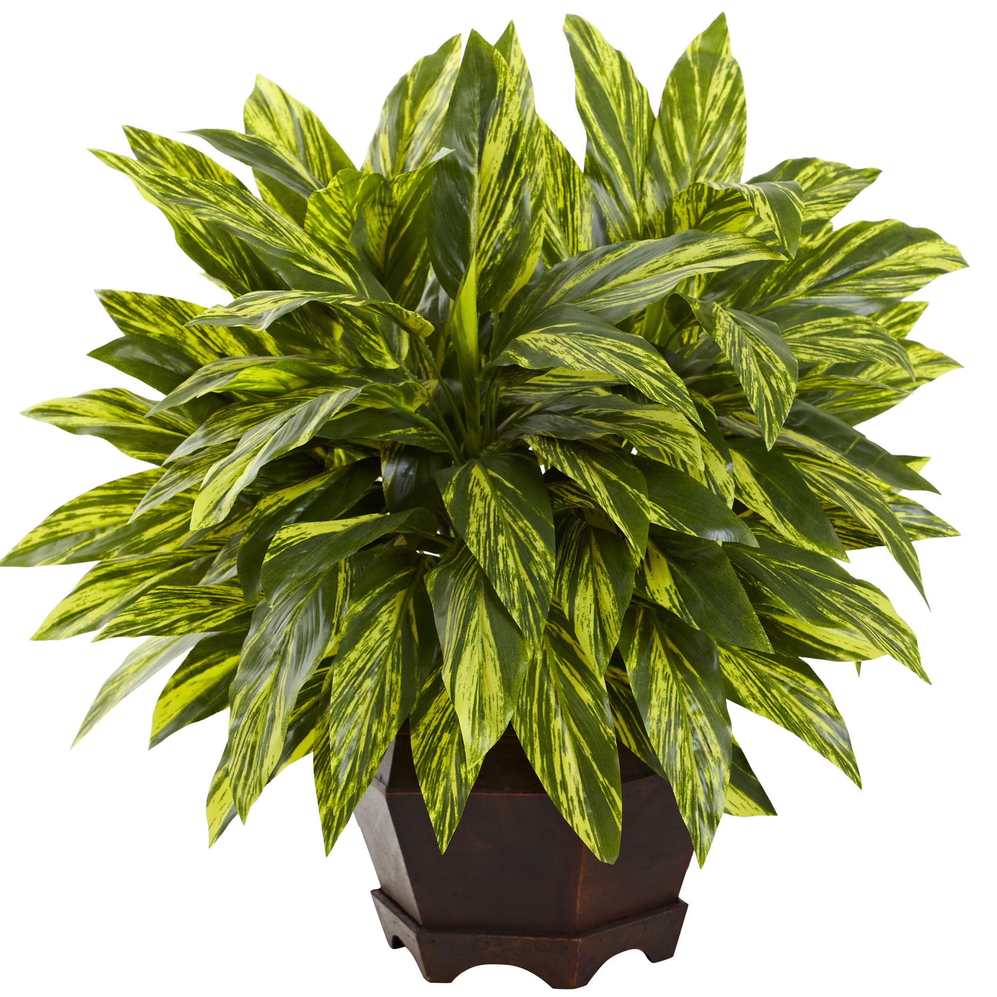 19.5 Inch Variegated Tradescantia In Wooden Hexagon Planter