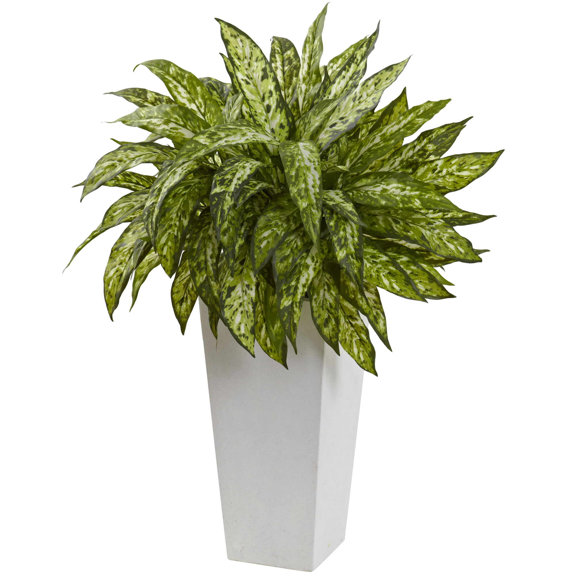 28 Inch Aglaonema In White Decorative Planter