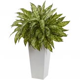 28 inch Aglaonema in White Decorative Planter