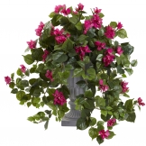 27 inch Bougainvillea in Decorative Urn