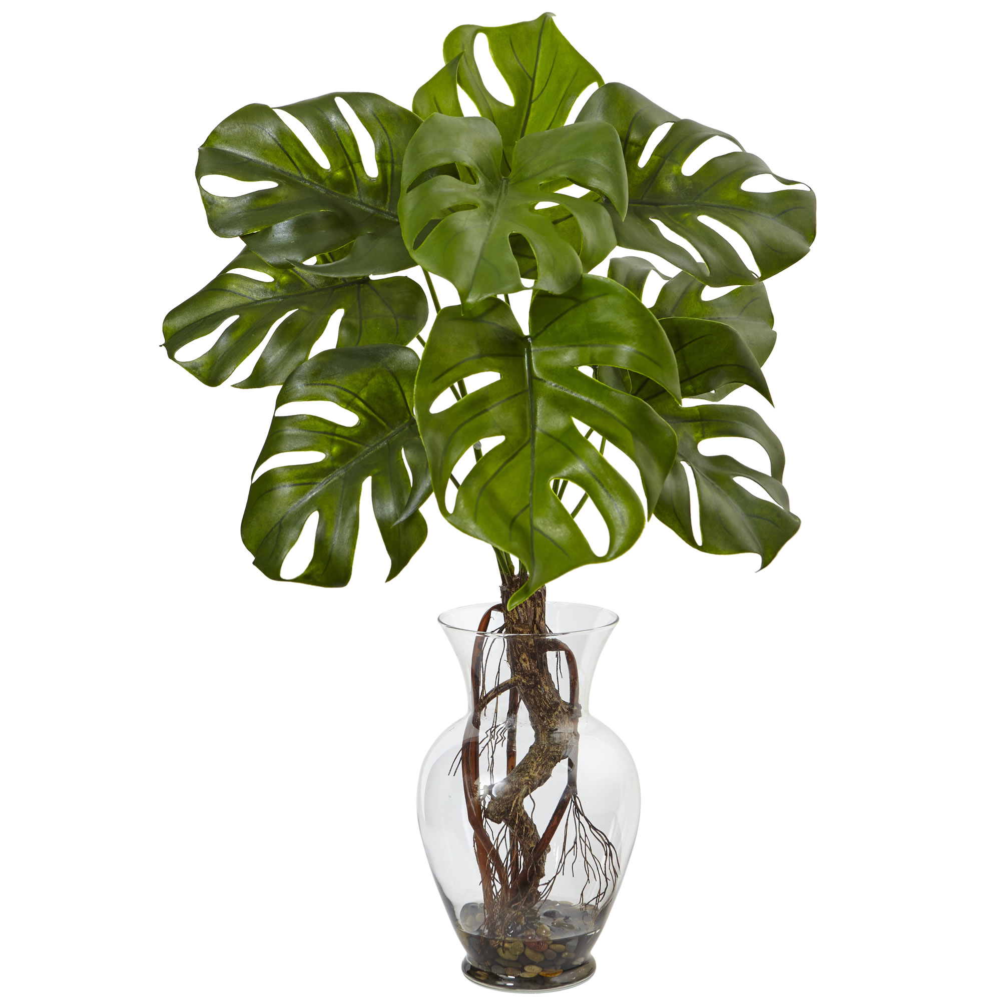 26 Inch Monstera Plant In Vase