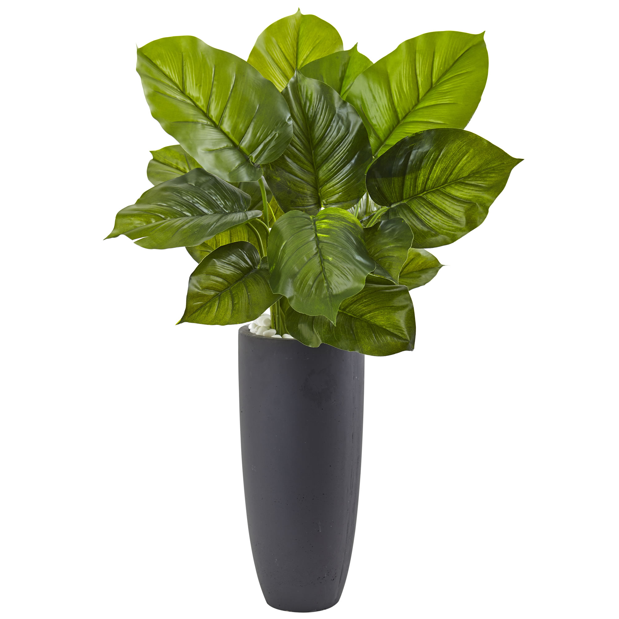 36 Inch Large Leaf Philodendron In Gray Cylindrical Planter