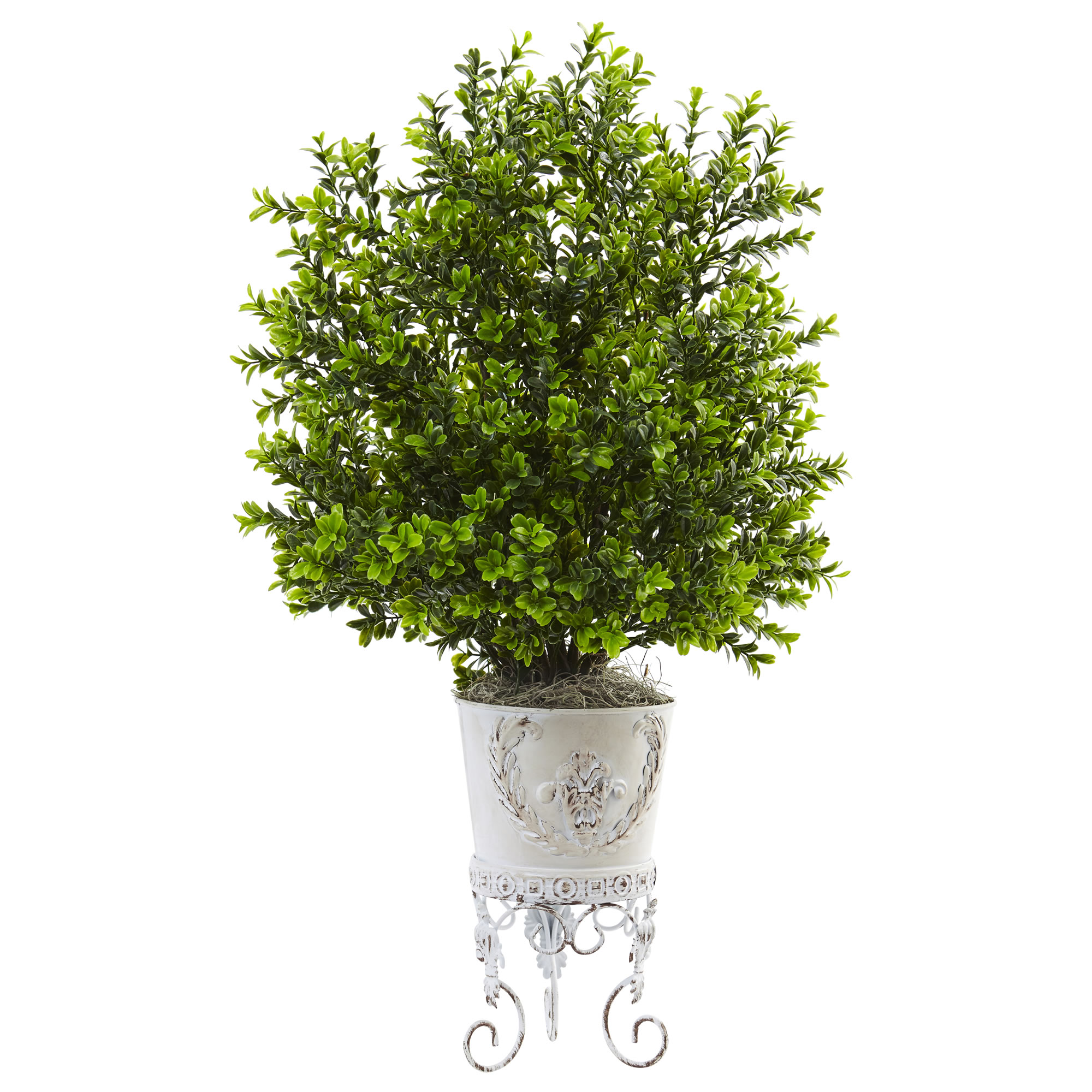 28 inch Boxwood Bush in Metal Planter: Limited UV, Covered Areas Only