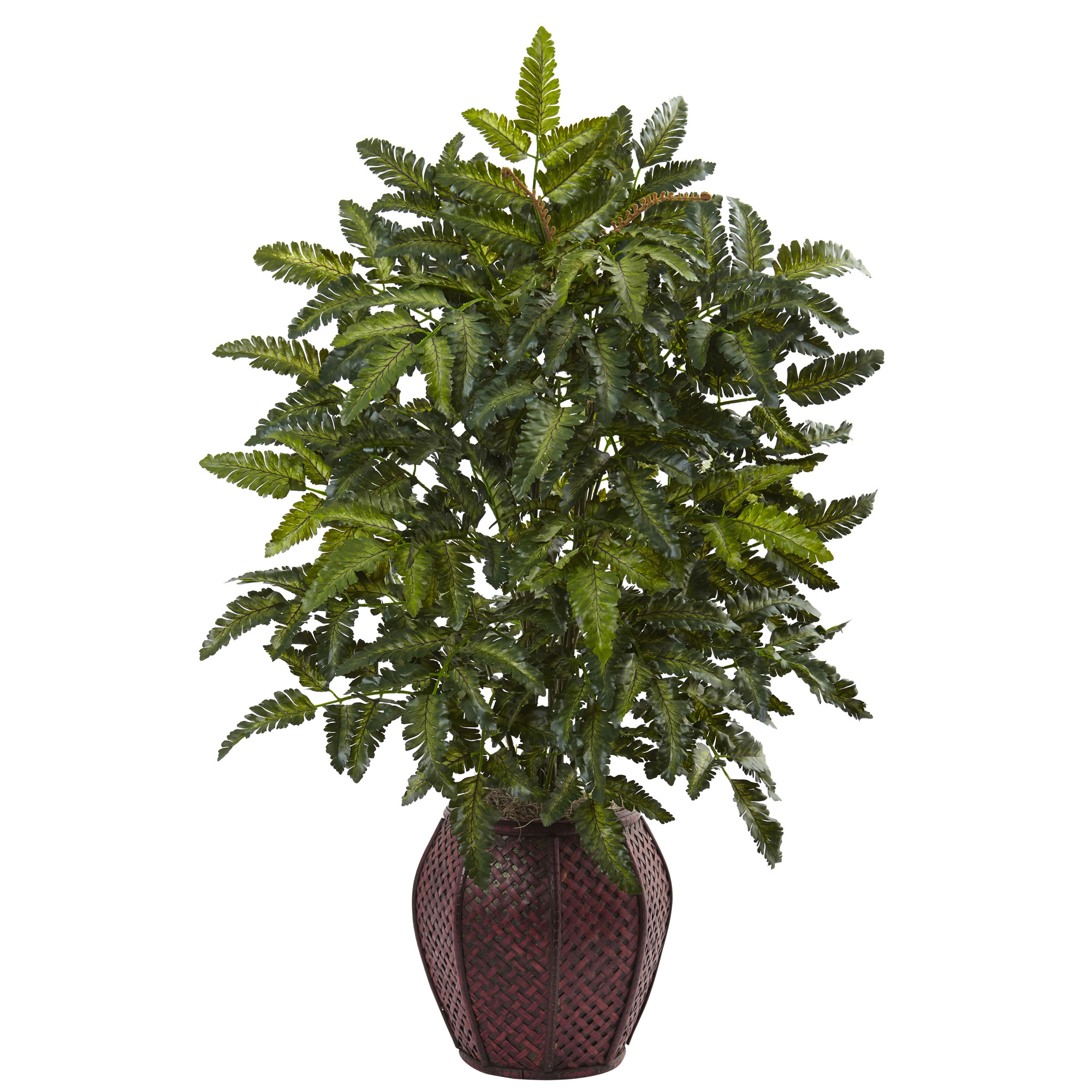 33 inch Bracken Fern in Decorative Planter