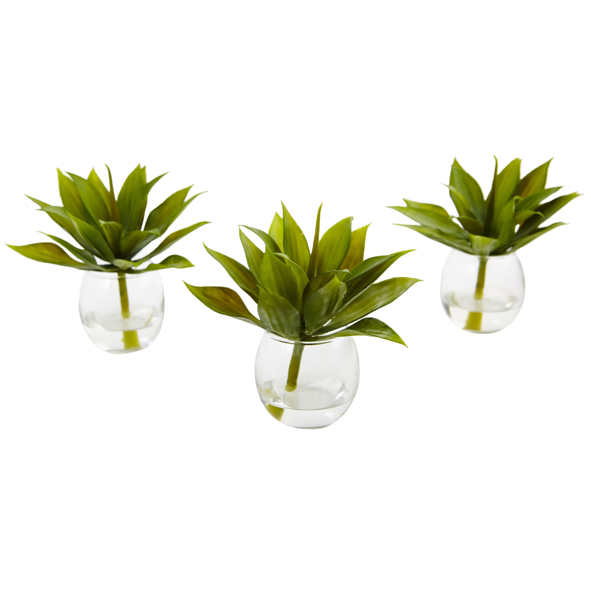 5.75 inch Agave Succulent in Vase (Set of 3)