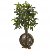 39 inch Bracken Fern in Open Weave Planter