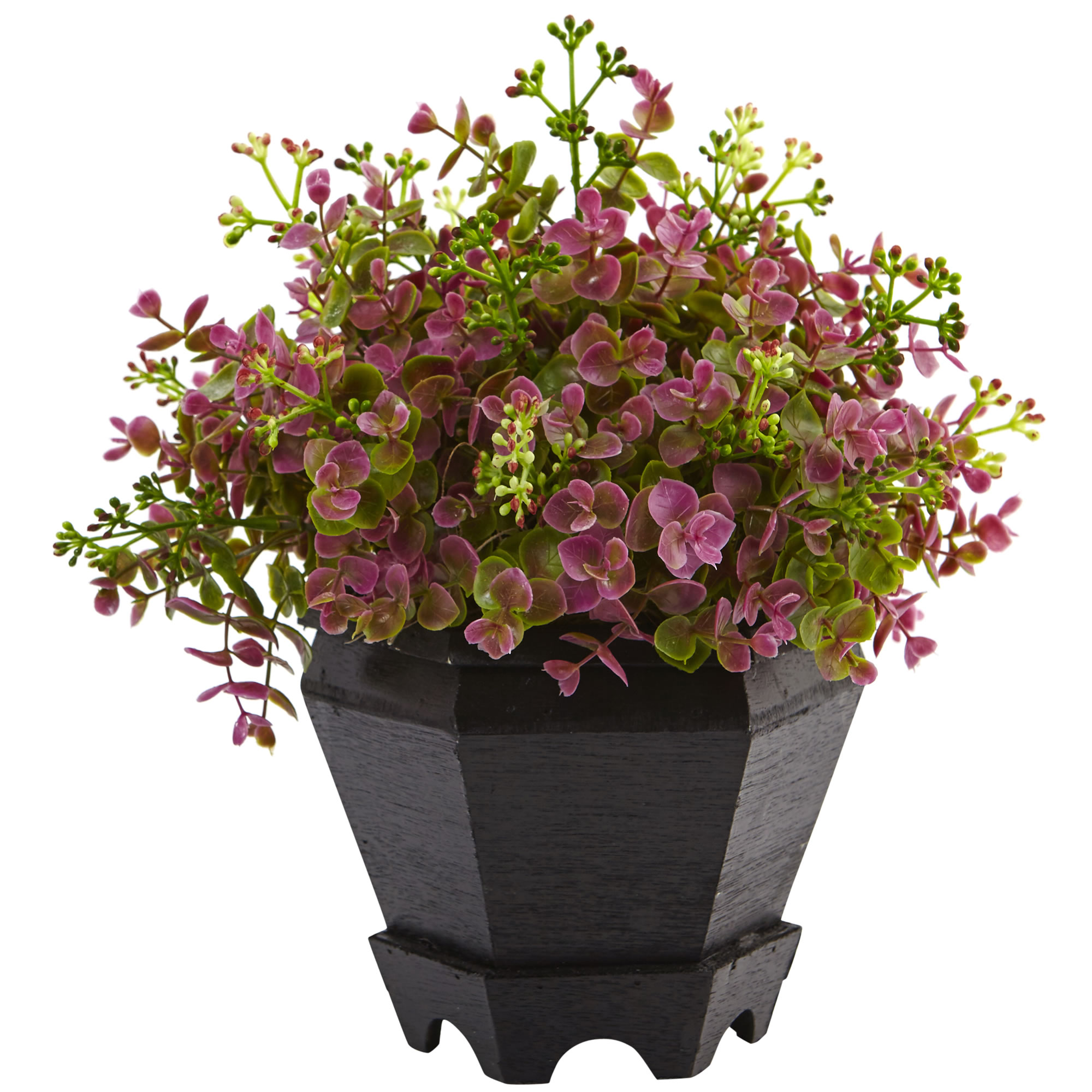 13 inch Purple, Green Sedum and Eucalyptus Plant in Planter
