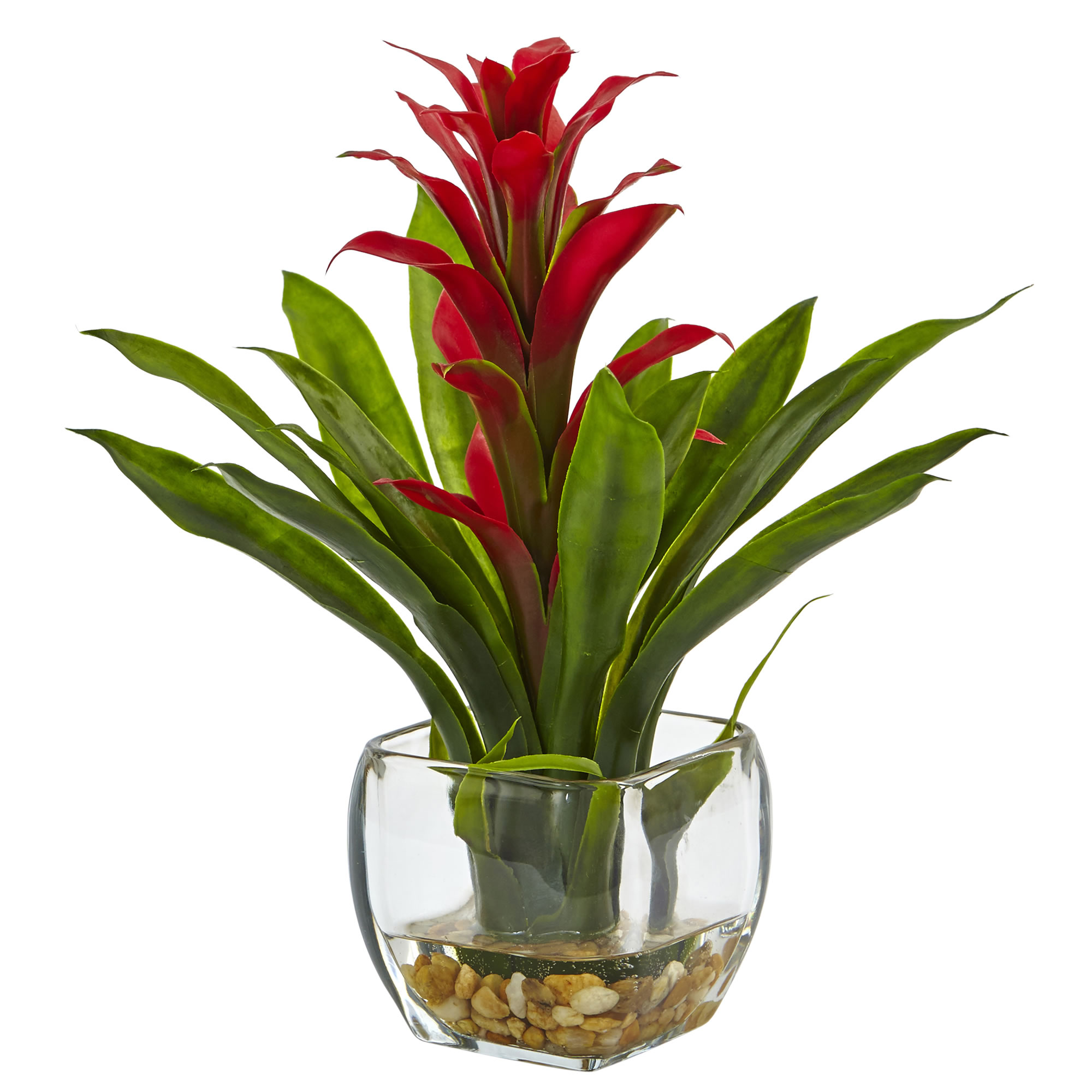 12 inch Bromeliad in Vase Arrangement
