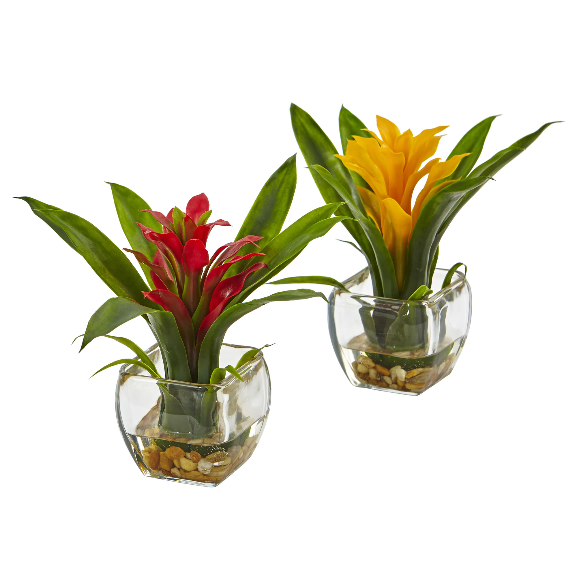 8 Inch Red, Yellow Bromeliad With Vase Arrangement (set Of 2)