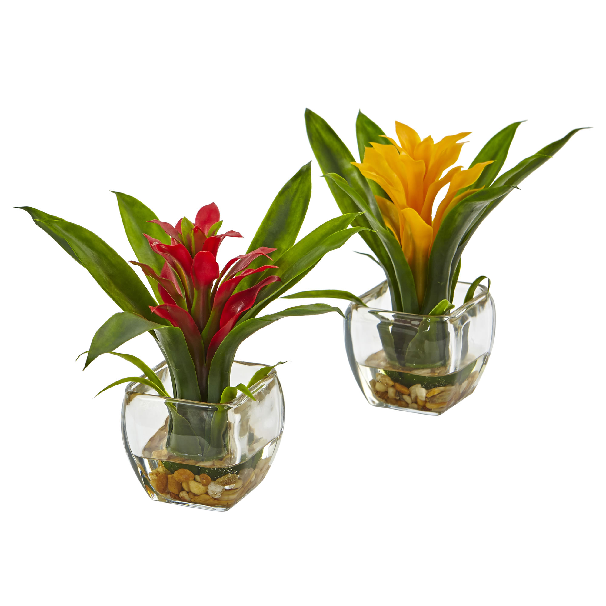 8 inch Red, Yellow Bromeliad with Vase Arrangement (Set of 2)