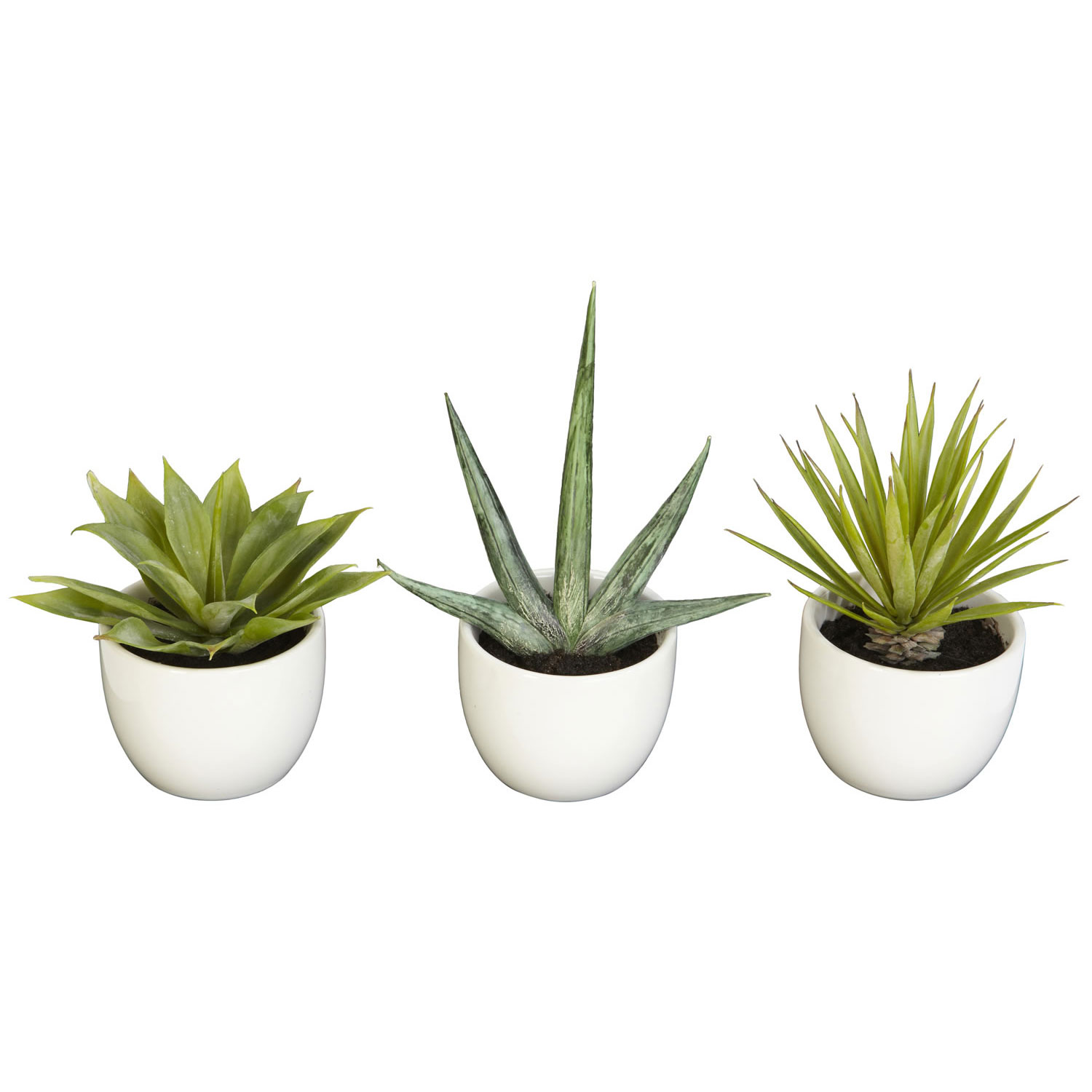 Southwest Agave Collection (set Of 3)