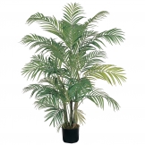 4 foot Areca Palm Tree: Potted