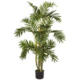 4 foot Areca Palm Tree: Potted