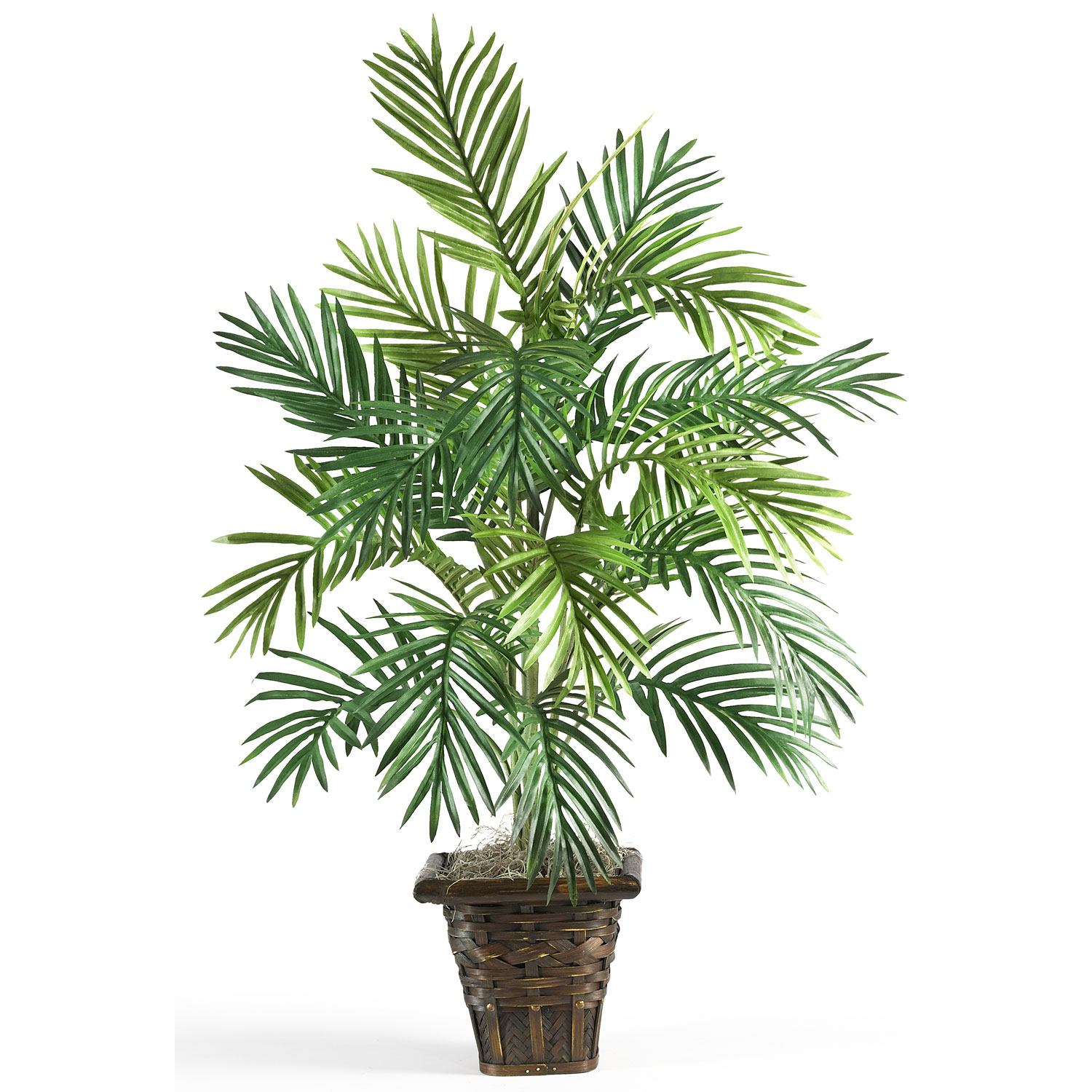 38 Inch Areca Palm In Wicker Basket