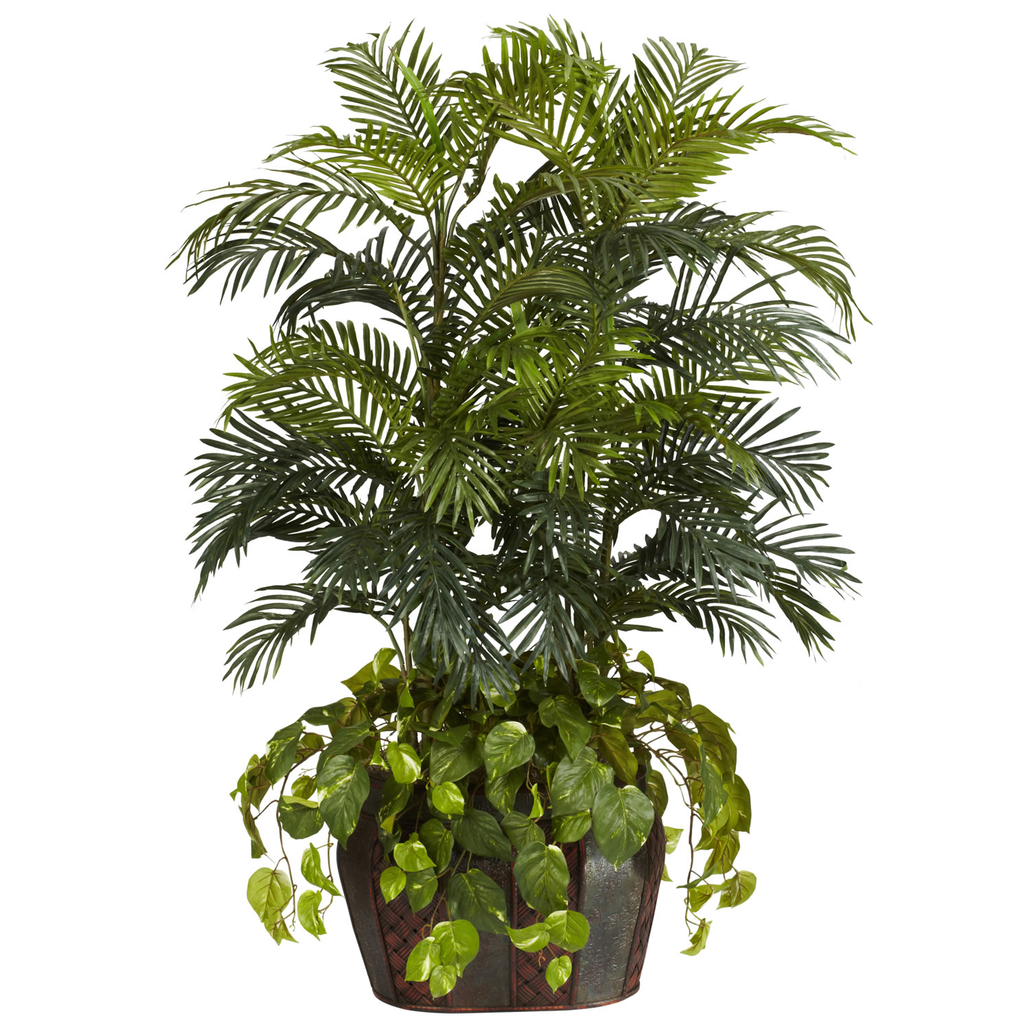 4.5 Foot Double Areca Palm And Pothos In Decorative Container