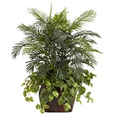 3.5 foot Double Areca Palm and Pothos in Decorative Planter