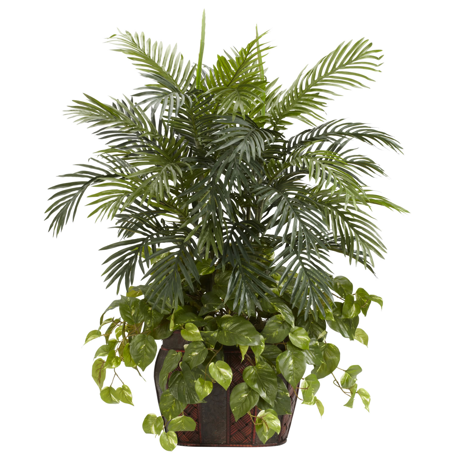 3.5 Foot Double Areca Palm And Pothos In Decorative Planter